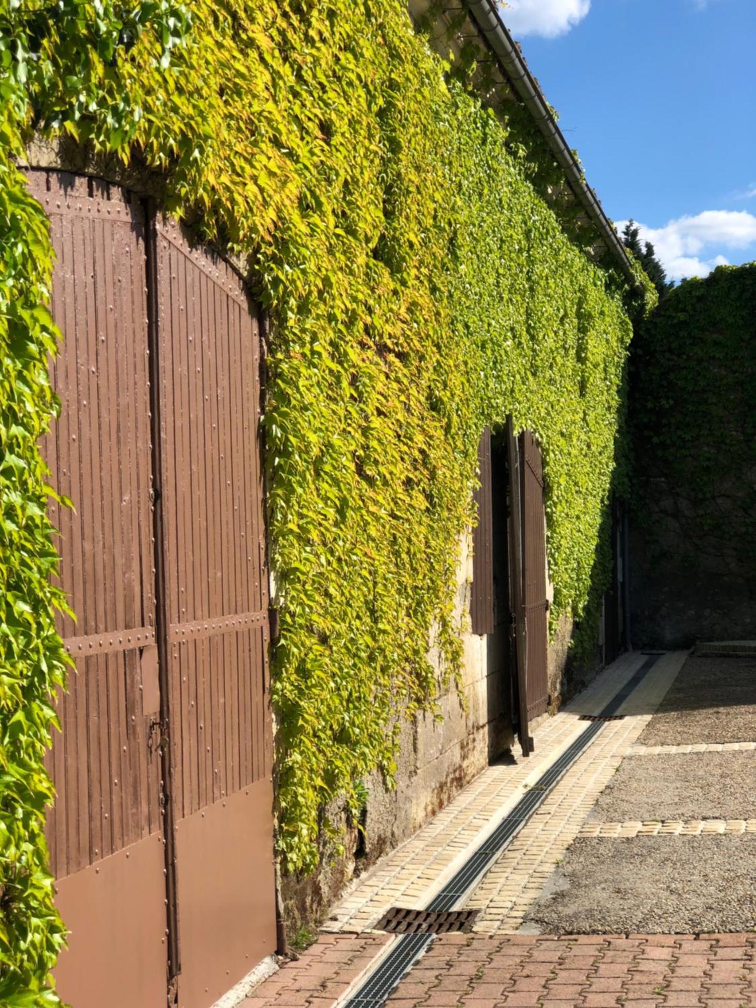 Le Domaine Du Haut Preau Saint-Palais-de-Negrignac 外观 照片
